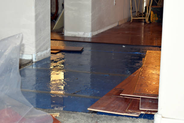 Professional Water Extraction technician working in Foristell, MO